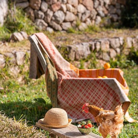 Agroturismo Son Viscos Вальдемоса Экстерьер фото